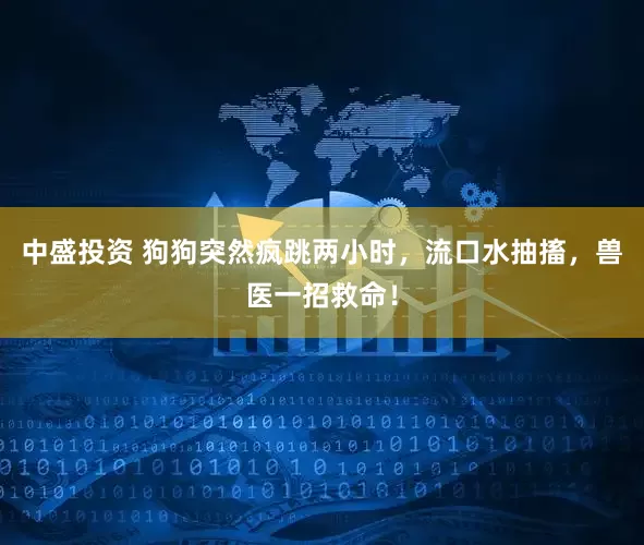 中盛投资 狗狗突然疯跳两小时，流口水抽搐，兽医一招救命！