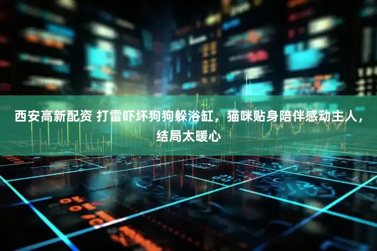 西安高新配资 打雷吓坏狗狗躲浴缸，猫咪贴身陪伴感动主人，结局太暖心