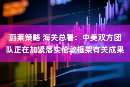 蔚莱策略 海关总署：中美双方团队正在加紧落实伦敦框架有关成果